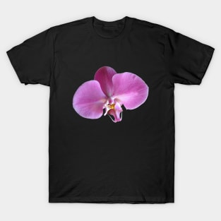 Pink Orchid Flower Closeup T-Shirt